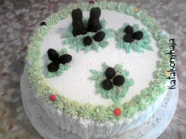 12270313_965355690174638_465254162_n